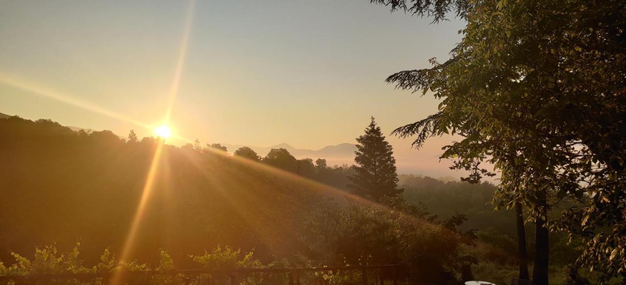 "Il Casaletto" Agriturismo Moderno, Vista Panoramica E Cibo Spettacolare- Scurcola Marsicana Exteriér fotografie