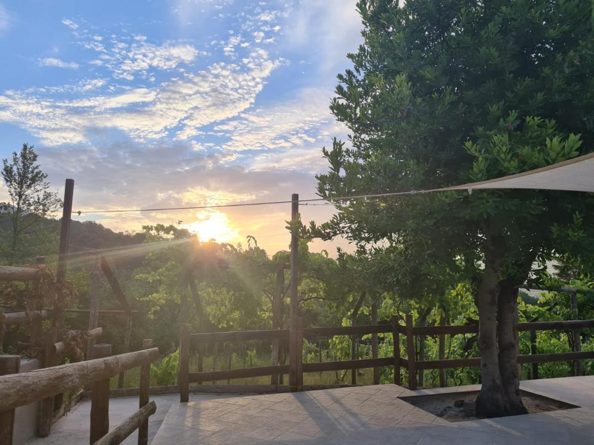 "Il Casaletto" Agriturismo Moderno, Vista Panoramica E Cibo Spettacolare- Scurcola Marsicana Exteriér fotografie