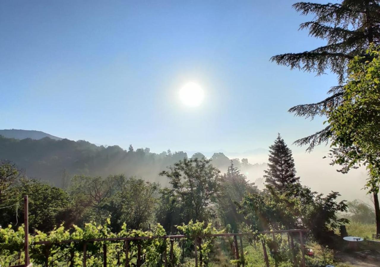 "Il Casaletto" Agriturismo Moderno, Vista Panoramica E Cibo Spettacolare- Scurcola Marsicana Exteriér fotografie
