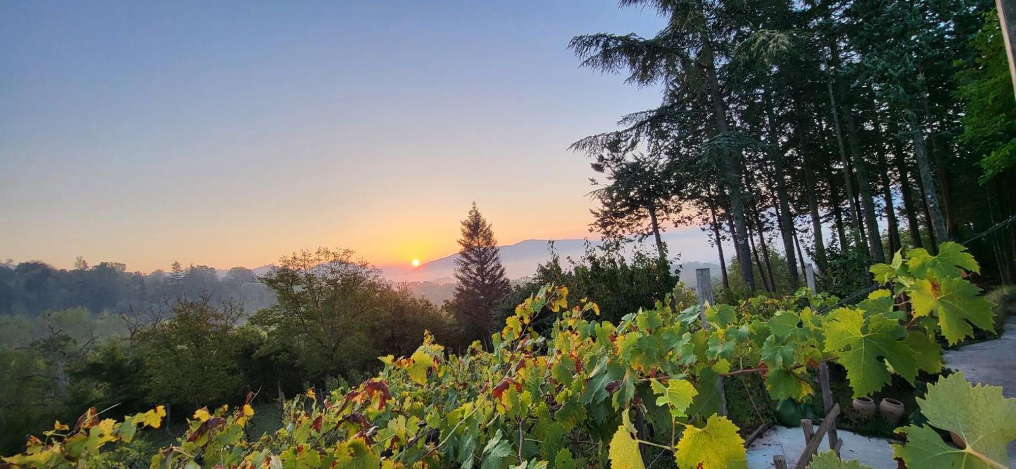 "Il Casaletto" Agriturismo Moderno, Vista Panoramica E Cibo Spettacolare- Scurcola Marsicana Exteriér fotografie