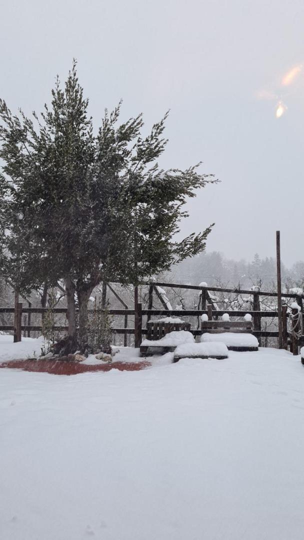 "Il Casaletto" Agriturismo Moderno, Vista Panoramica E Cibo Spettacolare- Scurcola Marsicana Exteriér fotografie